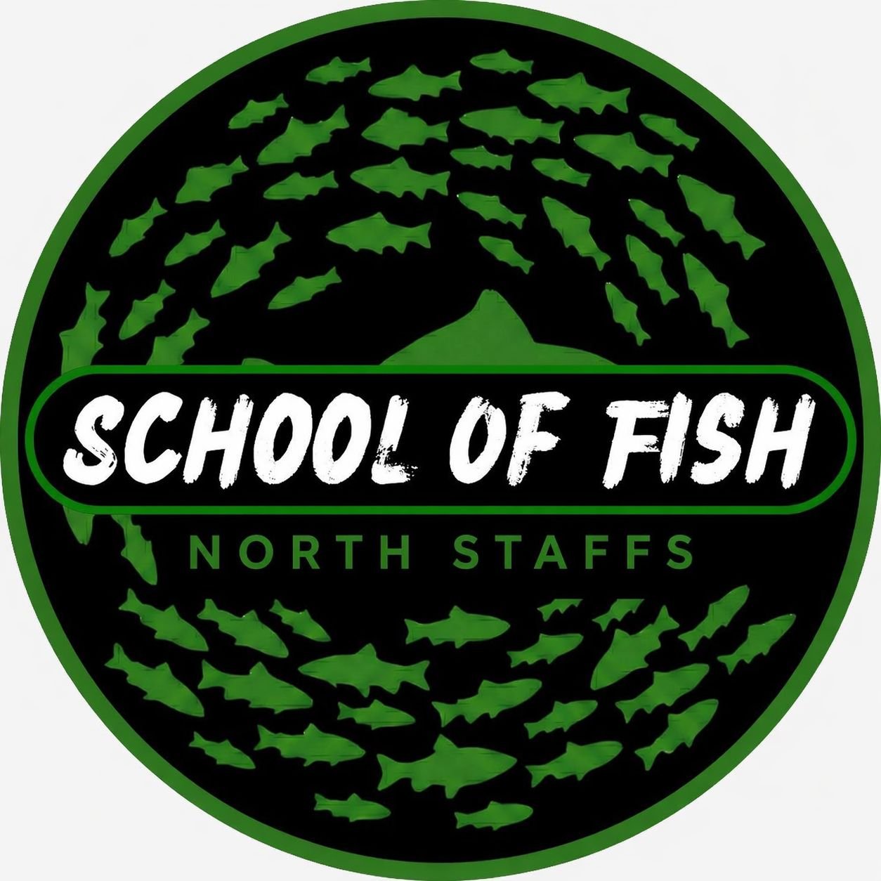 School Of Fish North Staffs