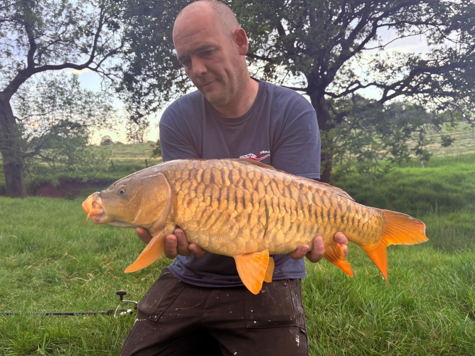 Knenhall pool